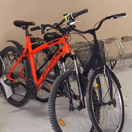 Au Bord De La Et De La Foret