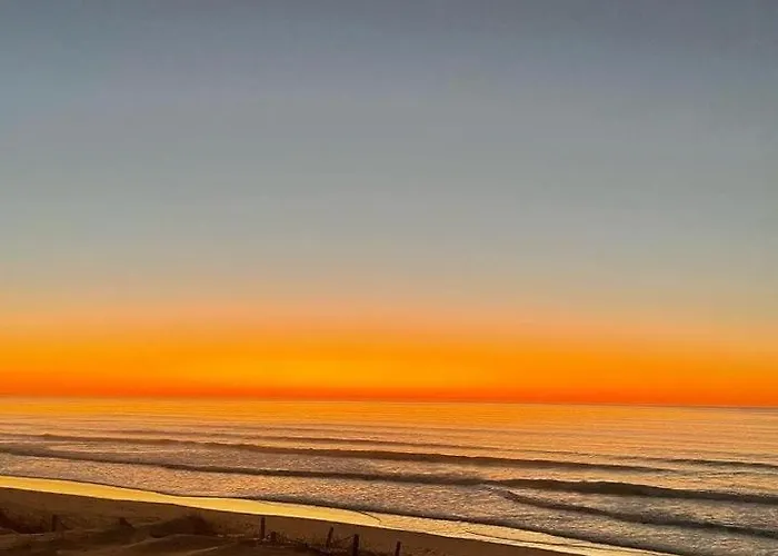 Au Bord De La Et De La Foret *